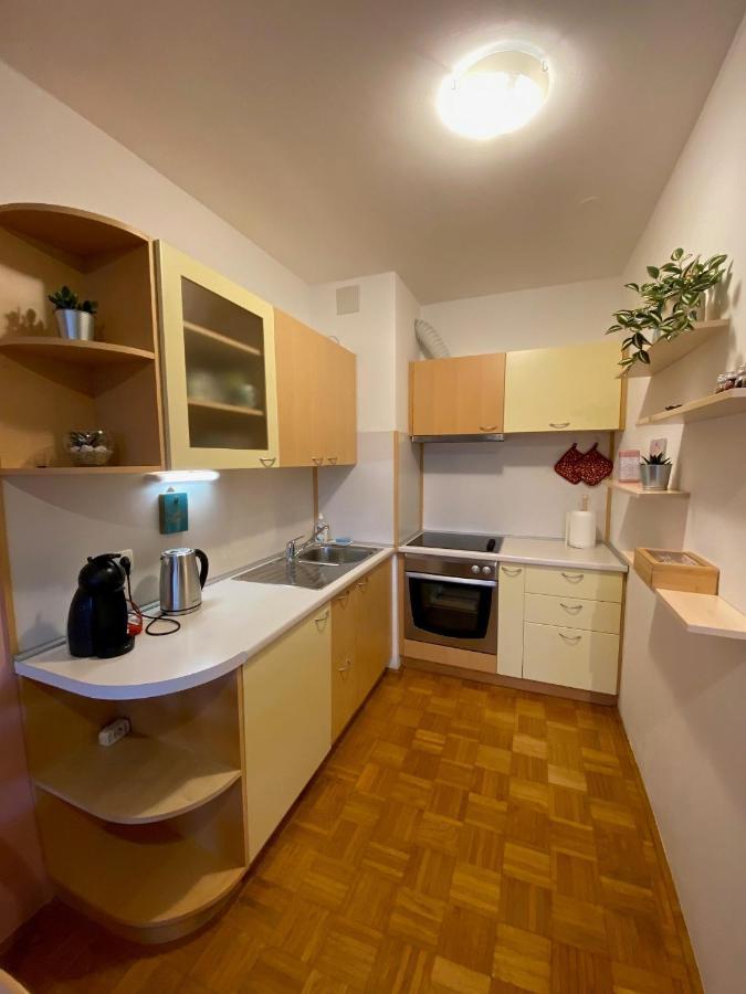 Apartma Felicija Laibach Exterior foto